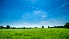 Begin your visa-prepared day with Vietnam’s tranquil ambiance